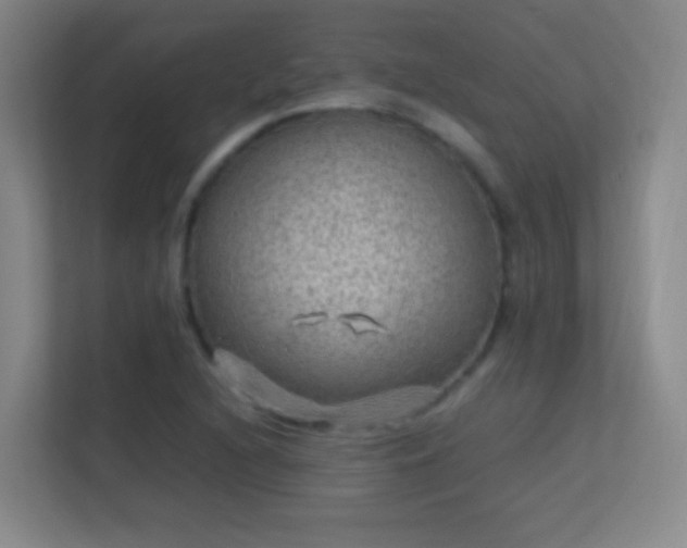 X0000113641216200909251234