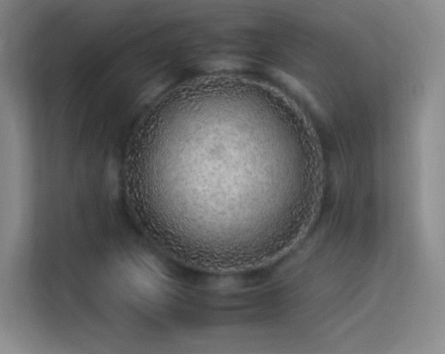 X0000113641217200909251234