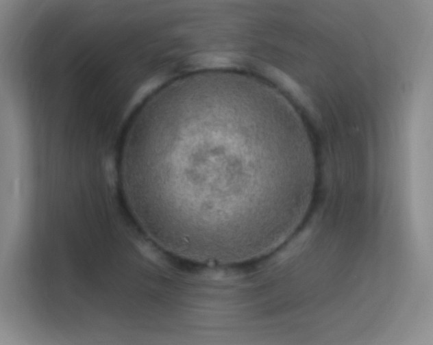 X0000113641218200909251234