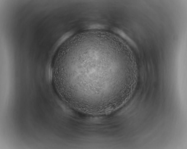 X0000113641221200909251234