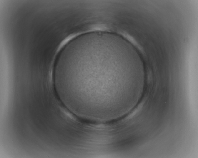 X0000113641222200909251234