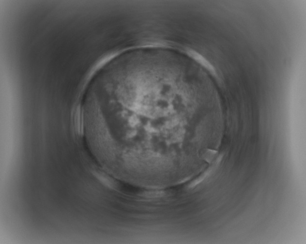 X0000113641223200909251234