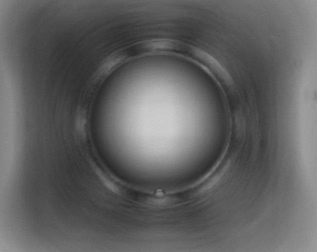 X0000113641225200909251234