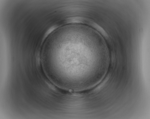 X0000113641226200909251234