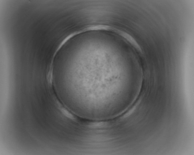 X0000113641228200909251234