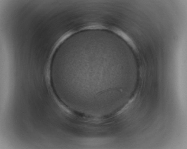 X0000113641229200909251234