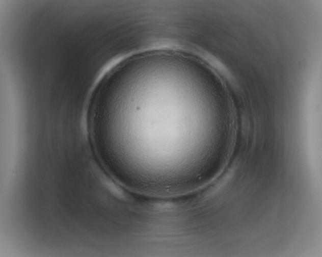 X0000113641230200909251234