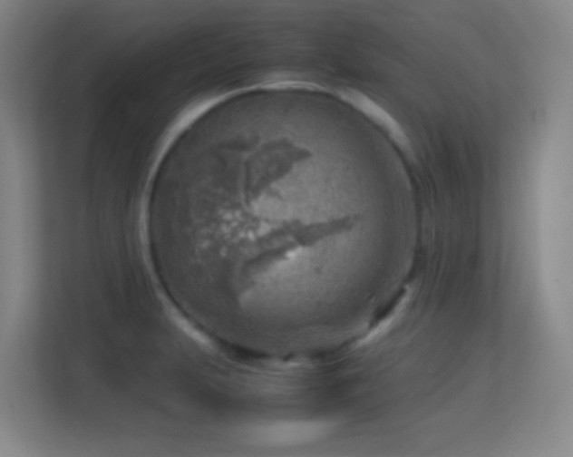 X0000113641231200909251234