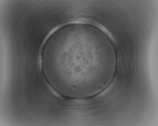 X0000113641232200909251234