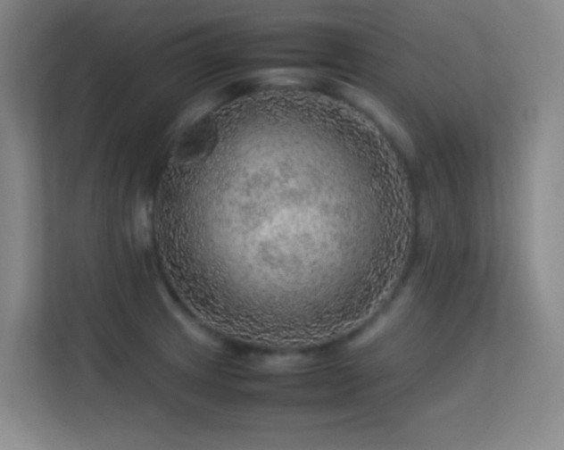 X0000113641233200909251234