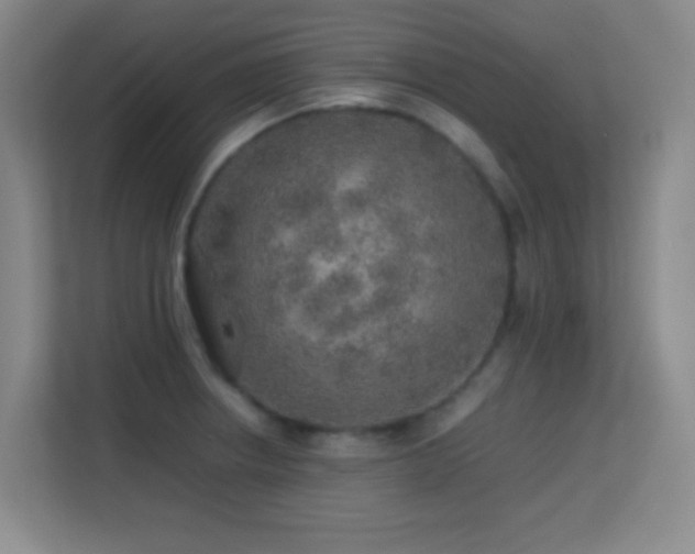 X0000113641234200909251234