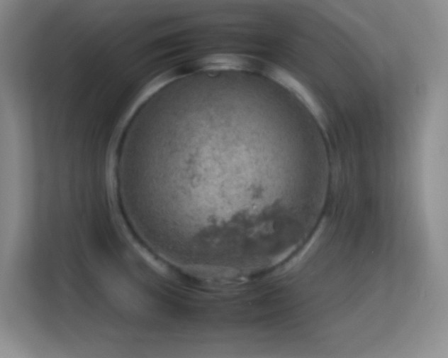 X0000113641235200909251234