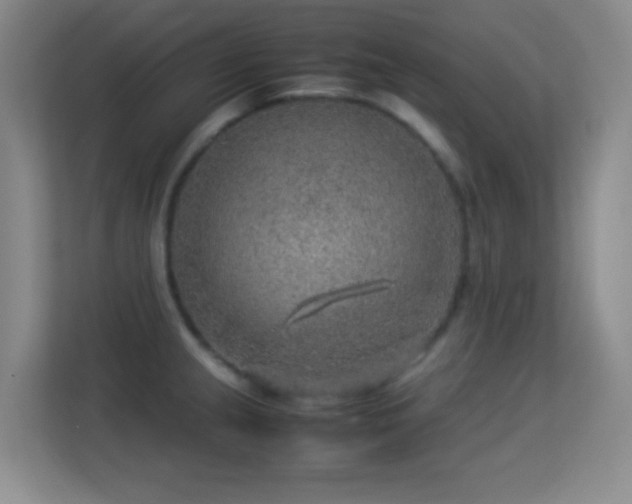 X0000113641237200909251234