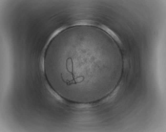 X0000113641238200909251234