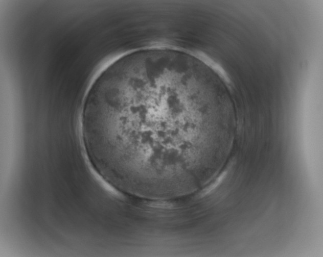 X0000113641239200909251234