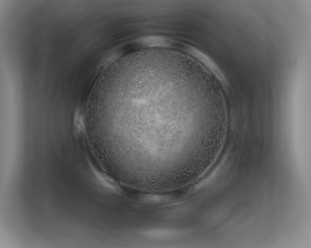 X0000113641241200909251234