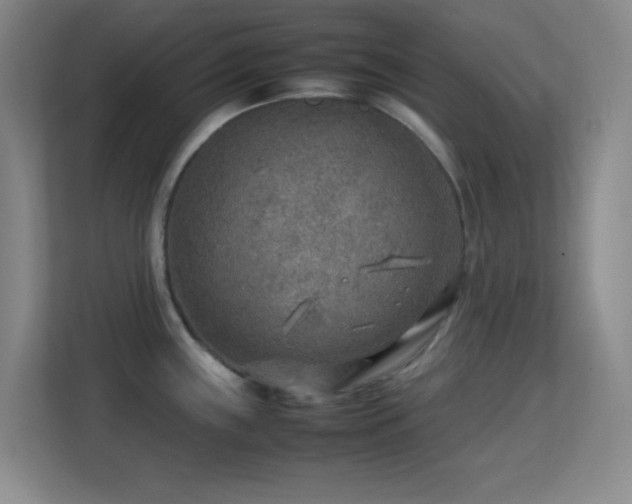 X0000113641243200909251234