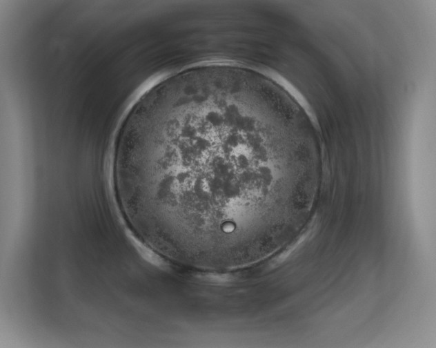 X0000113641245200909251234