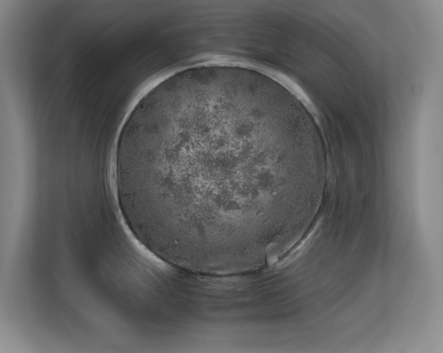 X0000113641247200909251234