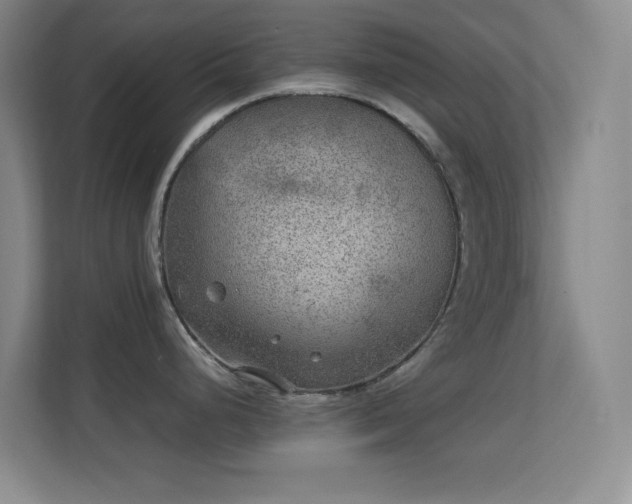 X0000113641248200909251234