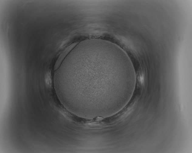 X0000113641252200909251234