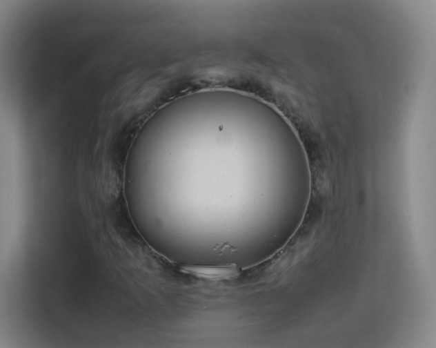 X0000113641253200909251234