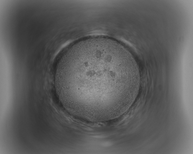 X0000113641255200909251234