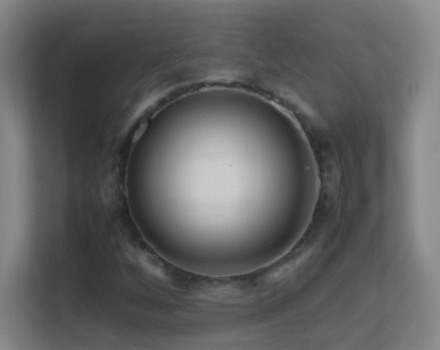 X0000113641256200909251234