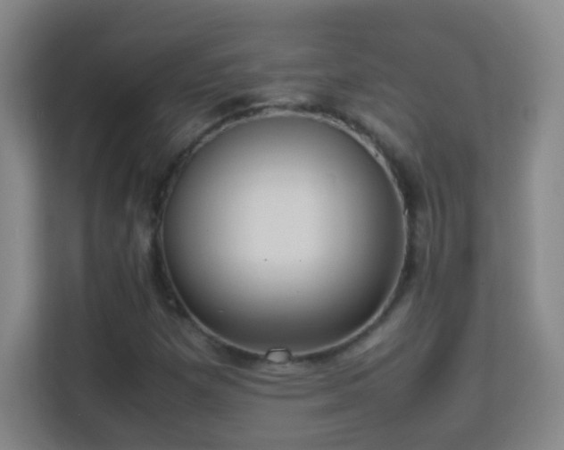 X0000113641257200909251234