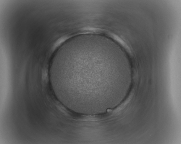 X0000113641259200909251234