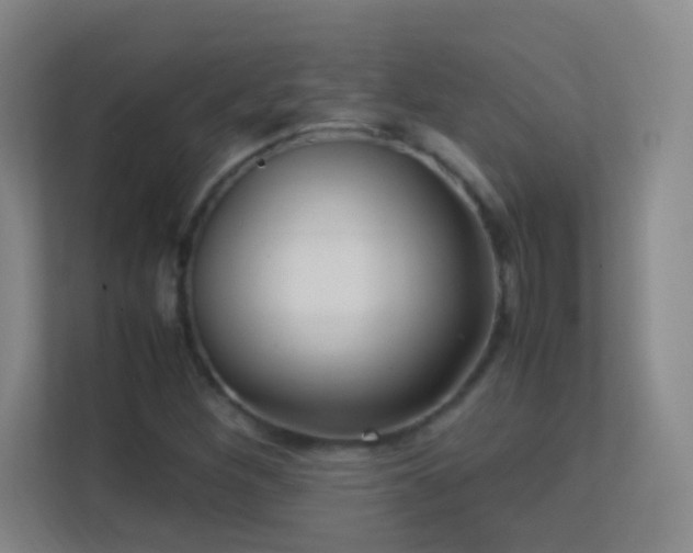 X0000113641260200909251234