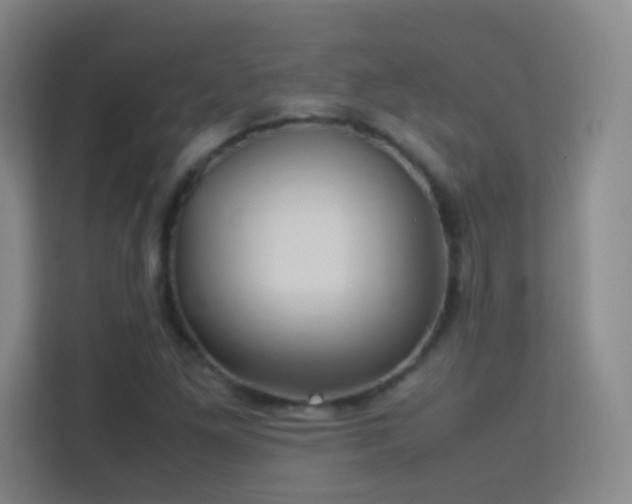 X0000113641261200909251234