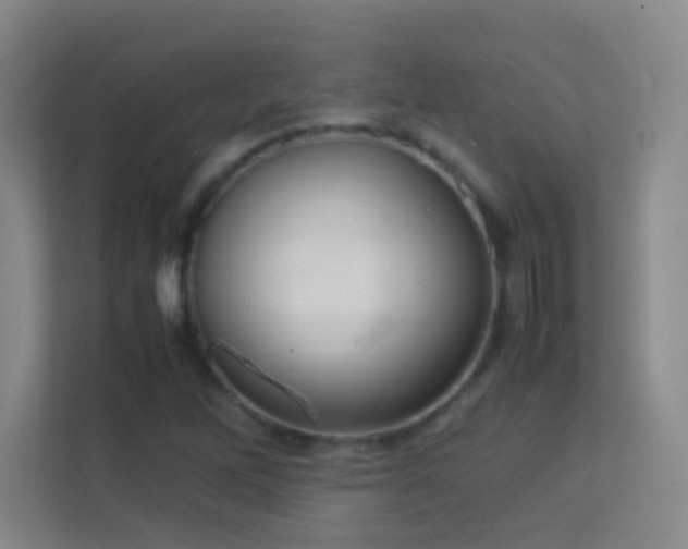 X0000113641262200909251234