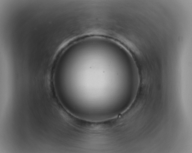 X0000113641264200909251234