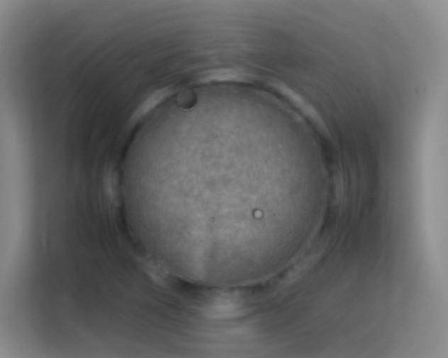 X0000113641266200909251233