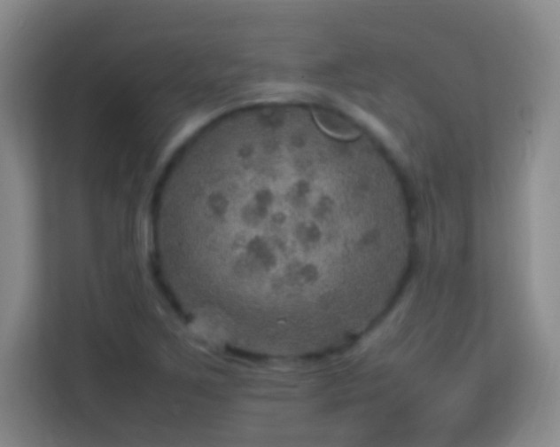 X0000113641267200909251233