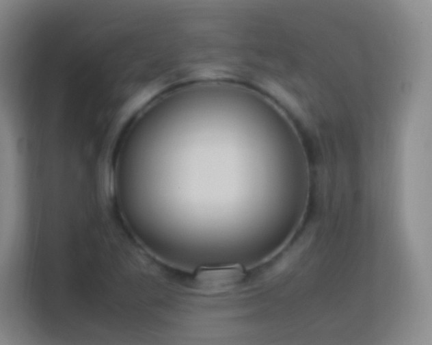 X0000113641269200909251233