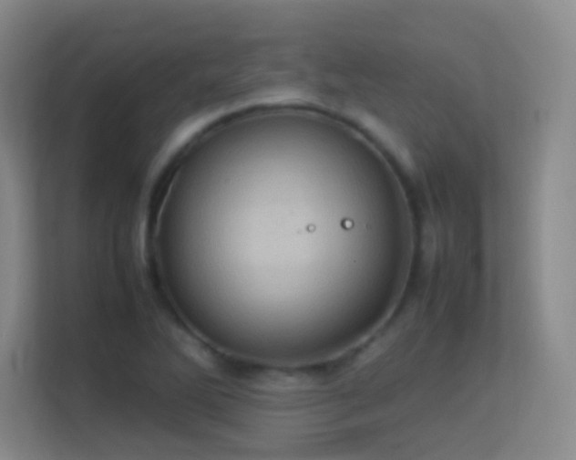 X0000113641270200909251233