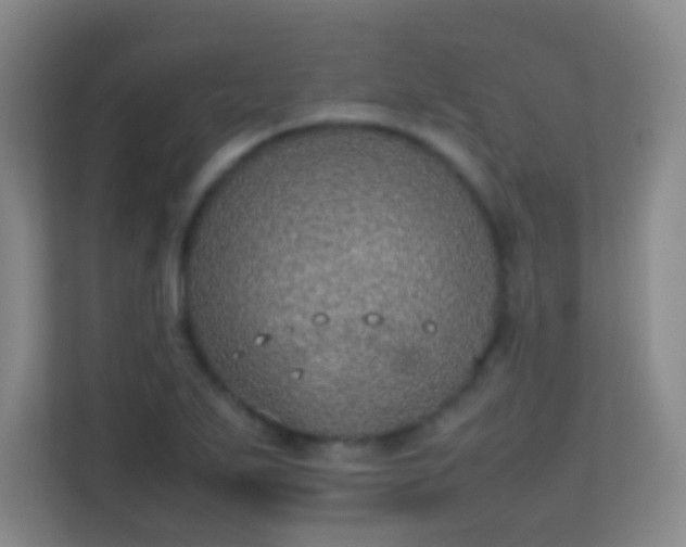 X0000113641271200909251233