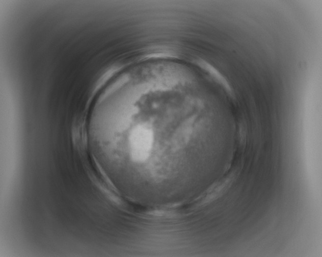 X0000113641274200909251233