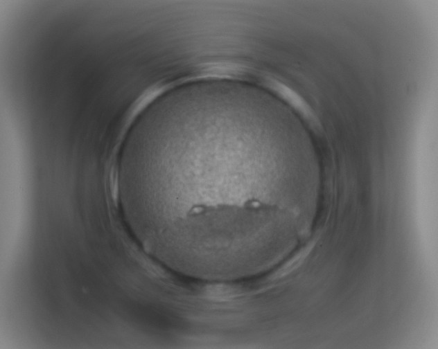 X0000113641275200909251233