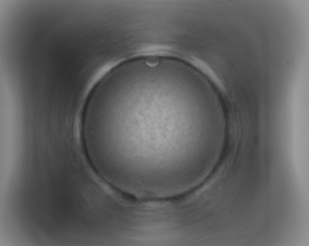 X0000113641277200909251233