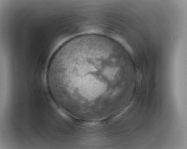 X0000113641278200909251233