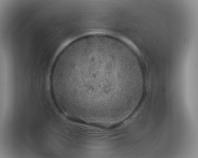 X0000113641279200909251233