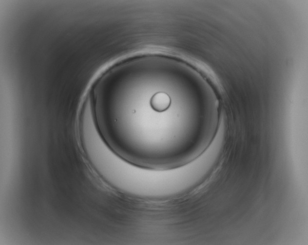 X0000113641280200909251233