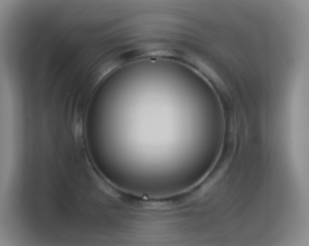 X0000113641281200909251233