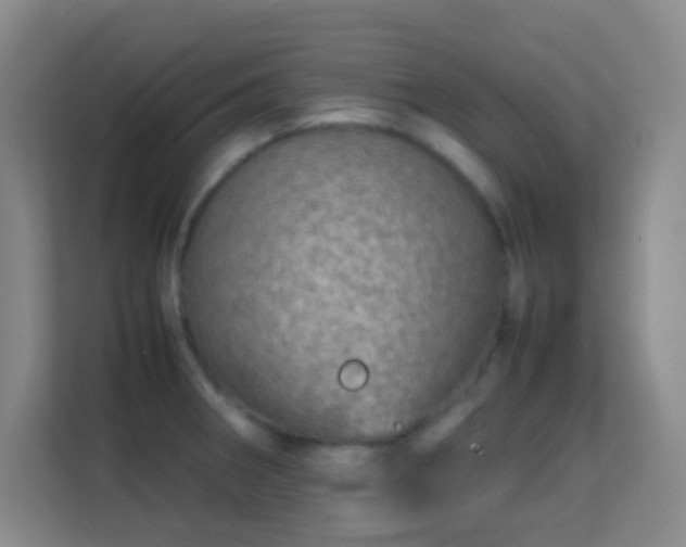 X0000113641282200909251233