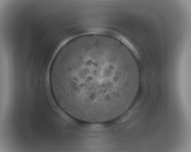 X0000113641283200909251233