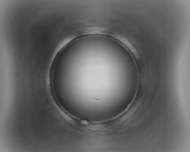 X0000113641285200909251233