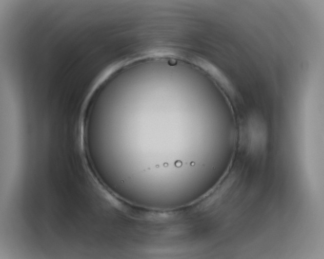 X0000113641286200909251233